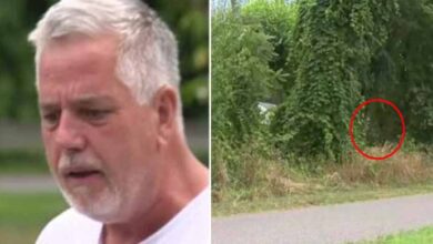 Photo of Man Hears Crying Coming From Bushes – Finds Newborn Baby Girl With Umbilical Cord Still Attached