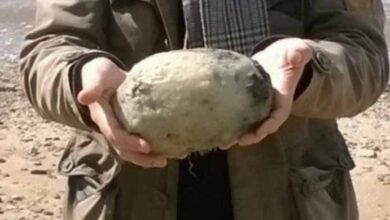 Photo of Couple Stunned After Stumbling Across “Weird Stone” On The Beach – And It Could Be Worth £50,000