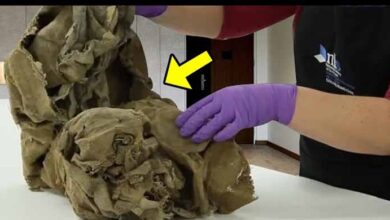 Photo of They Pulled Out a Very Dirty Rag From a Clogged Chimney… When They Unfolded It, They Were Shocked