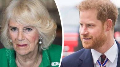 Photo of CONFLICT BETWEEN QUEEN CAMILLA AND THE COUPLE OF HARRY AND MEGHAN