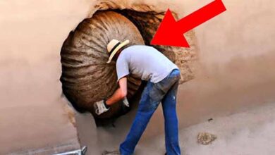 Photo of Worker Finds Weird Object In Wall – Bursts Into Tears When He Discovers What’s Inside