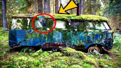 Photo of Stolen Van Found After Decades – Police Run For Their Life When They Look Inside
