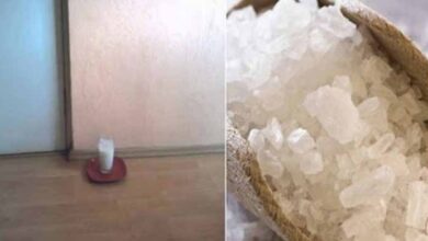 Photo of Put a Glass of Water with Salt and Vinegar in Any Part of Your Home… After 24 Hours you Will be Amazed at the Result!