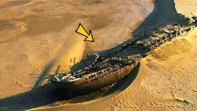 Photo of Scientists Find Ship Wreck In Middle Of Dessert, They Turned Pale After Seeing What’s Inside