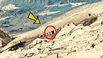 Photo of LOST PLANE found after decades researchers are STUNNED when they SEE what’s inside