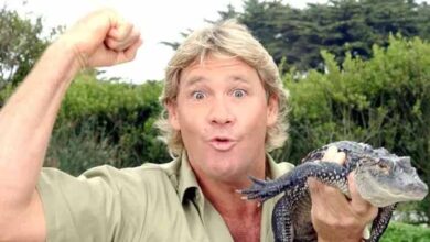 Photo of Steve Irwin’s eerie last words before tragic death come to light – and they’re heartbreaking