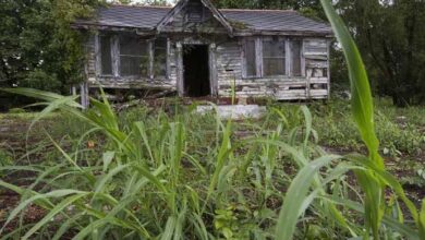 Photo of After Police Heard Wretched Cries From Inside An Abandoned House, What They Found Was Heart Wrenching