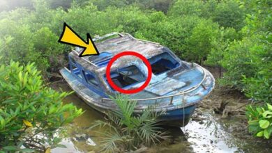 Photo of Mysterious Boat Washes Up – You Never Believe What They Find Inside