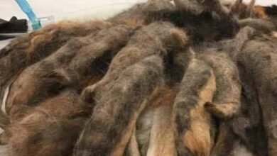 Photo of Man Visits His Elderly Relative And Sees This Under The Bed, Then He Realizes What It Is