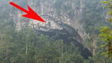 Photo of One man found a hidden cave