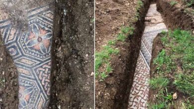 Photo of Under an Italian vineyard, an ancient Roman mosaic floor was discovered.