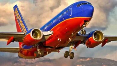Photo of Mother’s Encounter With Southwest Airlines Quickly Goes Viral Online