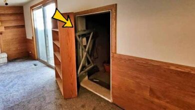 Photo of Dad Fixes Cabinet, Hears Noise Behind Wall That Leads To A Discovery