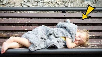 Photo of Girl Sleeps In Park Every Night – Police Officer Bursts Into Tears When He Finds Out Why