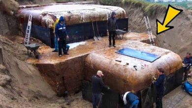 Photo of Woman Discovers Buried Bunker in Her Garden – Then She Sees Why…