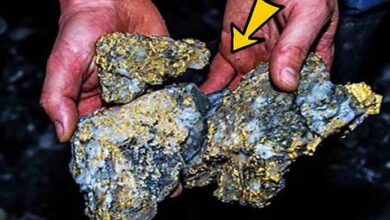 Photo of Man Kept “Gold Rock” For Years Before Scientists Told Him The Truth