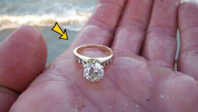Photo of Woman Finds Diamond Ring On Beach – When Jeweler Sees It, He Tells Her This