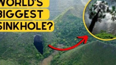 Photo of Scientists Discovered A Sinkhole 630 Feet Underground In China Known As “Heavenly Pits”