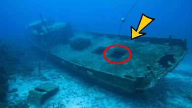 Photo of Divers Find Old Sunken Ship, Their Mouths Fall Open When They See What’s Inside