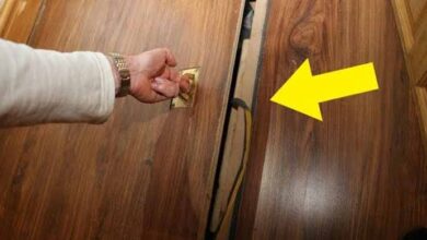 Photo of This Guy Found A Secret Door In His New Apartment. What He Found Is Hauntingly Awesome