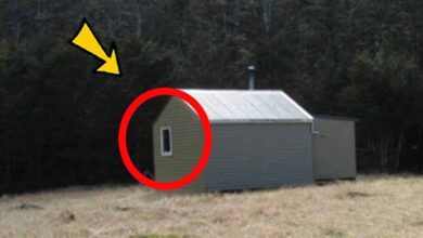 Photo of Men Sneak Into Old Man’s Hut – Their Mouth Falls Open When They See What’s Inside