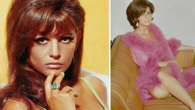 Photo of After 60 years in film, actress Claudia Cardinale reveals that cinema saved her life
