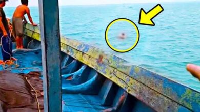 Photo of Fishers Couldn’t Believe Their Eyes When They Saw THIS Happening 6 Miles Off Shore