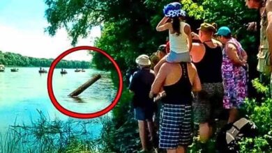 Photo of They Thought They Found Just A Log, But When They Pulled It Out, They Screamed
