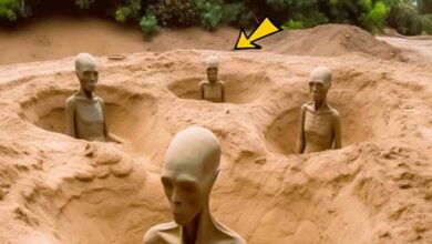 Photo of Archeologist Unearths Strange Statues In Jungle – Burst Into Tears When He Realizes What It Is