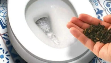 Photo of The cool trick to remove the smell of urine from the bathroom