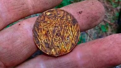 Photo of Man Finds Special Coin In His Garden – When Expert Sees It, He Says, “This Can’t Be True”