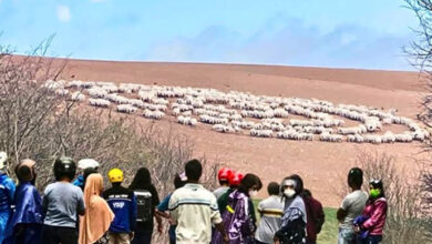 Photo of Vet Spots Animals Acting Strange During Field Trip – He Says : “This Isn’t Good, We Should Run”