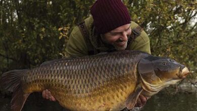 Photo of He Caught And Took Home a Huge Carp. When He Gutted The Fish, He Was Extremely Scared! What Did He Find Inside