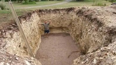 Photo of He Dug A Hole In His Yard And All The Neighbours Were Jealous