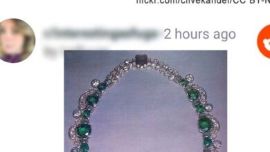 Photo of Greedy Dad Wants His Daughter to Inherit His Wife’s Family Necklace Intended for His Stepdaughter
