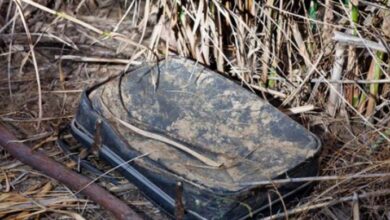 Photo of This woman found an old and dirty suitcase, abandoned in a bush