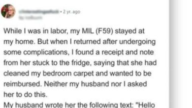 Photo of My Mother-in-Law Demands over $200 from Me for Cleaning My Home — But I Never Asked Her to Do It