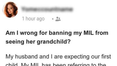 Photo of Am I Wrong for Banning My MIL from Seeing Her Grandchild?