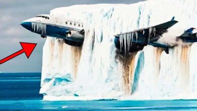 Photo of Researchers Find Long Lost Plane In Iceberg – After Seeing Movement, They Turn Pale