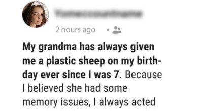 Photo of My Grandma Gave Me a Plastic Sheep on My Birthday for Years & I only Discovered their Secret Purpose after Her Death