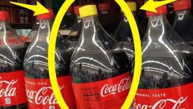 Photo of If You Spot A Coke With Yellow Cap, Here’s What It Means