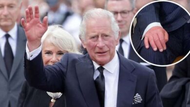 Photo of King Charles diagnosed with cancer, beginning treatments, the Palace reports