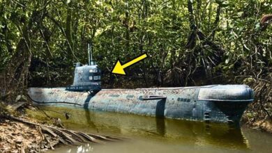 Photo of Abandoned WW2 Submarine Found In Rain Forest, Police Turn Pale When Seeing What’s Inside