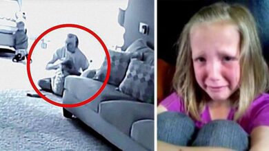 Photo of A Heartwarming Mystery Unfolds in a Suburban Home