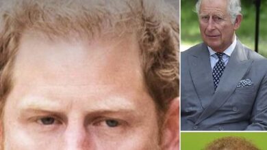 Photo of Harry’s heartbreaking 7-word response to King Charles after being evicted from Frogmore Cottage