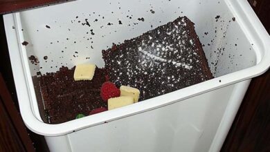 Photo of I Made My Husband His Favorite Dessert, but He Threw It in the Trash Because His Ex’s Food Tasted Better