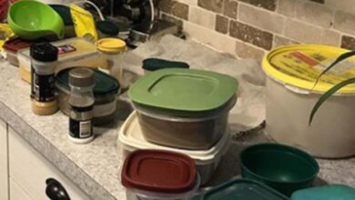 Photo of My MIL Hid Plastic Containers of Brown Mixture All over My House — Her Reason Stunned Me