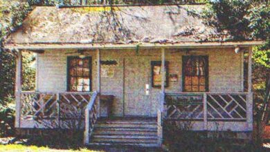 Photo of Poor Old Man Never Lets Anyone into His House, Neighbor Steps inside after His Death