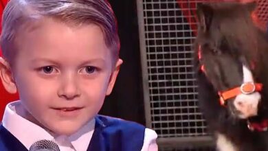 Photo of Shaney-Lee Steals Hearts on “The Voice Kids” UK with Adorable Audition singing John Denver