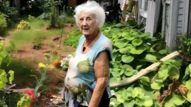 Photo of My Grandma Refused to Sell Her Garden – Her Neighbors’ Reaction Left Me Speechless -B